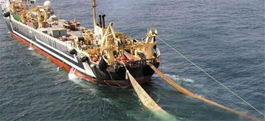 探秘‘海洋巨獸’ 造價(jià)四億的世界最大漁船，萬(wàn)噸漁獲背后的畜牧漁業(yè)飼料銷(xiāo)售鏈