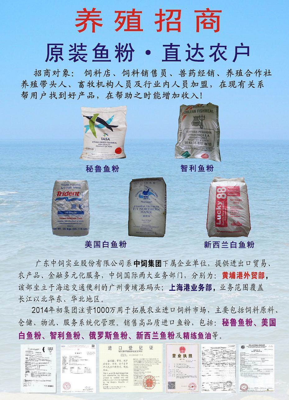 巴沙魚(yú)粉 高效蛋白源助力現(xiàn)代養(yǎng)殖業(yè)發(fā)展